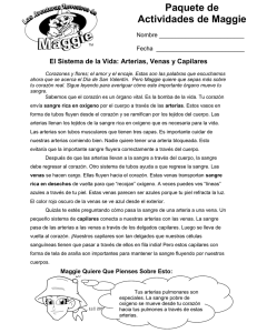 Paquete de Actividades de Maggie