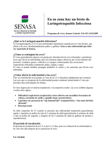 En su zona hay un brote de Laringotraqueitis Infecciosa