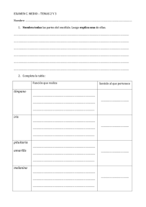 tímpano iris pituitaria amarilla melanina