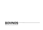 BOVINOS - labclinveterinario