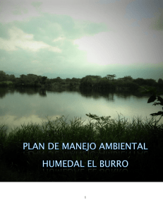 Plan de manejo ambiental Humedal el Burro