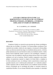Descargar pdf - Real Academia Gallega de Ciencias
