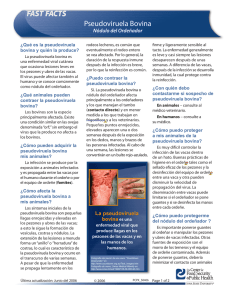 Pseudoviruela Bovina