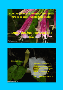 especies vegetales útiles para la reserva amazonica