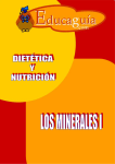 Minerales I