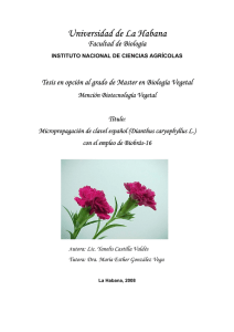 Micropropagación de clavel español (Dianthus caryophyllus L.) con