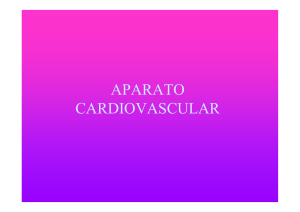 C4 APARATO CARDIOVASCULAR