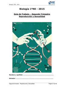 Descargar archivo adjunto file_download