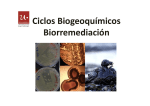 Hierro y microorganismos ambientales_2015