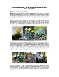 Guía de Campo para la identificación de cactáceas y otras