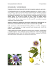 Monografía Pasiflora - Farmacia Laboratorio Albarelo
