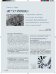 mitocondrias - Ciencia Hoy