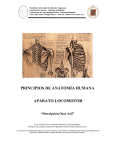 principios de anatomía humana aparato locomotor