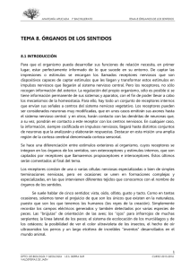 tema 8. órganos de los sentidos