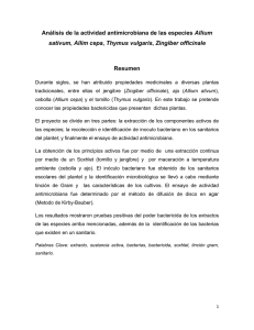 Análisis de la actividad antimicrobiana de las especies Allium