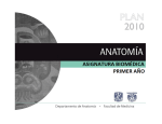 Anatomía - Facultad de Medicina UNAM