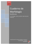 Cuaderno de Morfología - IES FLORIDABLANCA Murcia