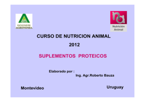 CURSO DE NUTRICION ANIMAL 2011 SUPLEMENTOS PROTEICOS