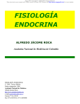 fisiología endocrina