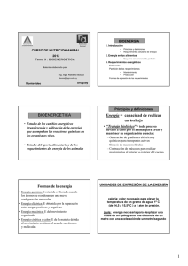 Tema 9.ENERGÍA.TEORICO.Curso 2012