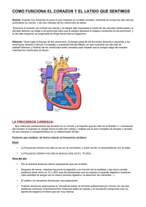 como funciona el corazon y el latido que sentimos