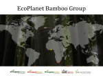 EcoPlanet Bamboo Group