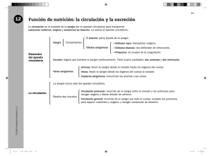 Funci&oacute;n de nutrici&oacute;n: la circulaci&oacute;n y la excreci&oacute;n
