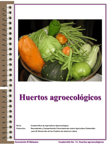 Presentación de PowerPoint