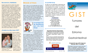 Gastrointestinal Estroma del Tumores