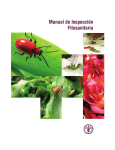 Manual de Inspección Fitosanitaria - Servicio Fitosanitario del Estado