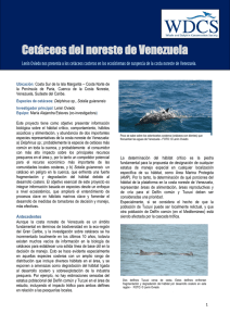 Cetáceos del noreste de Venezuela - CAR-SPAW-RAC