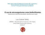 El uso de microorganismos como biofertilizantes Luis Gabriel WALL