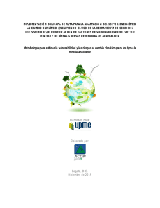 IMPLEMENTACIÓN DEL MAPA DE RUTA PARA LA ADAPTACIÓN