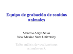 Equipo de grabación de sonidos animales - Marcelo Araya