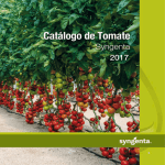 Catálogo tomate 2015