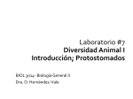 Diversidad Animal I - Laboratorio de Biología General II (BIOL 3014)
