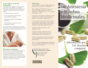 Su Anestesia y Hierbas Medicinales
