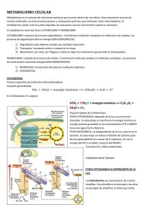 metabolismo celular - Biblioteca del CENBA