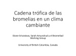 Cadena trófica de las bromelias en un clima cambiante