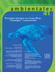 tortugas marinas en costa Rica: “enemigos” y protección