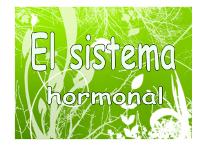 El Sistema Hormonal