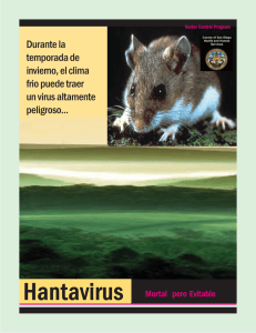 El Hantavirus - Salud+Health Info