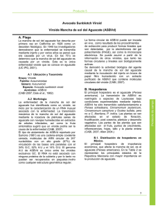 A. Plaga B. Hospederos Avocado Sunblotch Viroid Viroide