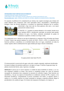 DEPURADORAS PURIFICAR AGUA EMBALSES - N