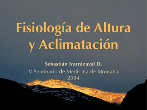 Sebastián Irarrázaval D. V Seminario de Medicina de Montaña 2004