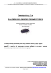 Descripción y Cría PALEMBUS ULOMOIDES DERMESTOIDES