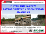 El Peru ante la COP20 - Ministerio del Ambiente