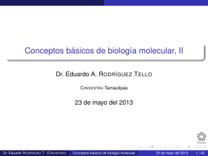 Conceptos básicos de biología molecular, II - Cinvestav