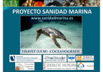 Proyecto Sanidad Marina