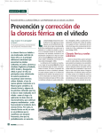 Prevención y corrección de la clorosis férrica en el viñedo